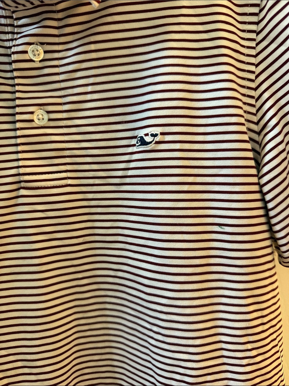 Vineyard vine - Picture 2 of 4